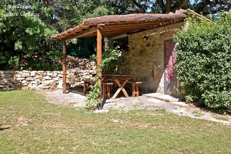 Farm stay Agriturismo Podere Carducci Castagneto Carducci